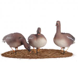 Картинка Комплект сминаемых чучел Гуменник Гусь North Way Softplast "A" (3-кормящихся, 2-отдыхающих, 1-сторожевой) от интернет-магазина ХантингАрт Комплект сминаемых чучел Гуменник Гусь North Way Softplast "A" (3-кормящихся, 2-отдыхающих, 1-сторожевой) купить в интернет-магазине ХантингАрт