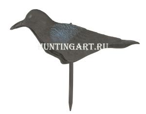 Чучело ворона купить в интернет-магазине ХантингАрт