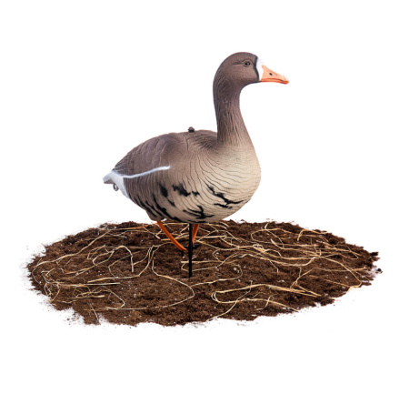 Комплект сминаемых чучел Белолобого гуся North Way Softplast 3D (10 шт) купить в интернет-магазине ХантингАрт