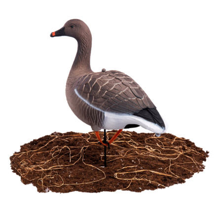 Сминаемое чучело North Way Sofplast 3D Гуменник гусь, 10 чучел (6-кормящихся, 2-отдыхающих, 2-сторожевых) купить в интернет-магазине ХантингАрт