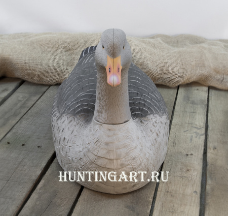 Картинка Комплект из 12 полукорпусных муляжей Серого гуся GreenHead от интернет-магазина ХантингАрт Комплект из 12 полукорпусных муляжей Серого гуся GreenHead купить в интернет-магазине ХантингАрт