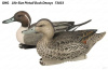 Комплект из 6 шт муляжей утки Шилохвость GHG Life-Size Pintail Duck Decoys (4 селезня и 2 утки) купить в магазине Хантингарт