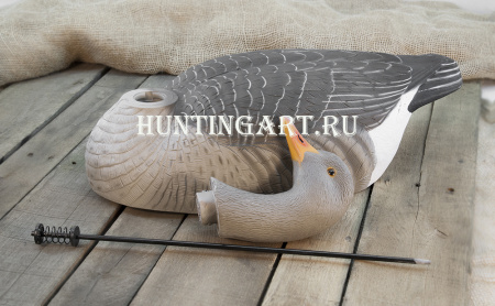 Картинка Комплект из 12 полукорпусных муляжей Серого гуся GreenHead от интернет-магазина ХантингАрт Комплект из 12 полукорпусных муляжей Серого гуся GreenHead купить в интернет-магазине ХантингАрт