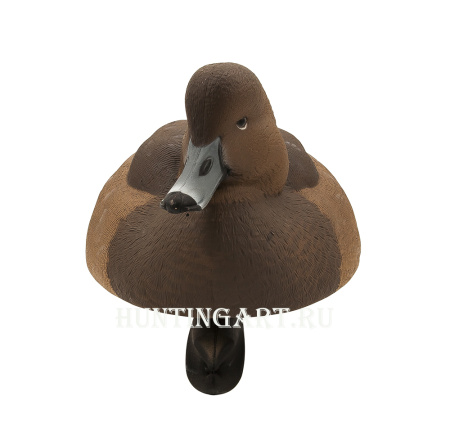 Комплект Avian-X Topflight Readheads из 6 полноразмерных чучел Красноголового нырка купить в магазине Хантингарт