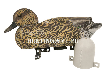 Чучело утки Чирка Eurasian Teal USA купить в магазине Хантингарт
