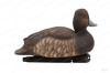 Комплект Avian-X Topflight Blue Bill из 6 полноразмерных чучел Морской чернети купить в магазине Хантингарт