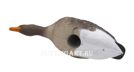 Комплект полнообъемных чучел FA HD fullbody Серого гуся (6 шт.) купить в интернет-магазине ХантингАрт