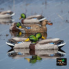 Комплект GHG Pro Grade XD из 12 шт муляжей Кряквы серии Mallards купить в магазине Хантингарт