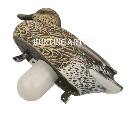 Чучело утки Чирка Eurasian Teal USA купить в магазине Хантингарт