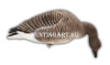 Гусь Гуменник Avian-Mix Elite 3D, комплект 6шт купить в интернет-магазине ХантингАрт