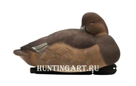 Комплект Avian-X Topflight Readheads из 6 полноразмерных чучел Красноголового нырка купить в магазине Хантингарт