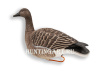 Гусь Гуменник Avian-Mix Elite 3D, комплект 6шт купить в интернет-магазине ХантингАрт