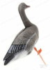 Чучело гуся Гуменника складное на опоре: комплект 12 шт (2 шт сторожевых, 2 шт отдыхающих, 8 шт кормящихся) купить в интернет-магазине ХантингАрт
