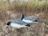 Казарка гусь Elite 3D Barnacles Goose, комплект 10 шт (8+2) мягкий пластик купить в интернет-магазине ХантингАрт