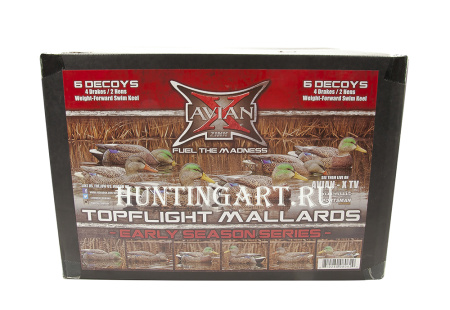 Комплект Avian-X Early Season Topflight Mallards (ранний сезон) из 6 чучел кряквы (4 селезня/2 утки) купить в магазине Хантингарт