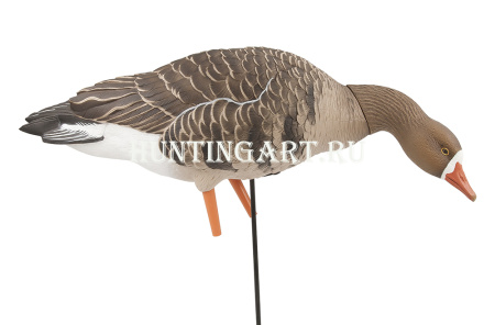 Комплект Avian-X из 6 полноразмерных чучел белолобого гуся с сумкой купить в интернет-магазине ХантингАрт