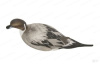 Шилохвость GHG Pro-Grade Pintails Waterfowl Decoys комплект из 6 шт купить в магазине Хантингарт