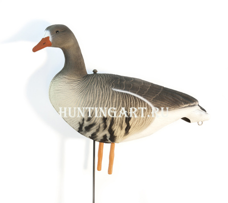 Комплект Art Specked Belly Goose из 10 сминаемых чучел Белолобого гуся (8 кормящихся + 2 сторожевых) купить в интернет-магазине ХантингАрт