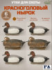 Набор чучел красноголового нырка FA Brand, 6 шт (4 селезня/2 утки) купить в магазине Хантингарт