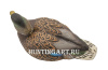 Комплект Avian-X Early Season Topflight Mallards (ранний сезон) из 6 чучел кряквы (4 селезня/2 утки) купить в магазине Хантингарт