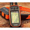 Система отслеживания перемещений собаки Garmin Alpha 100 c ошейником Alpha T5 купить в интернет-магазине Хантингарт