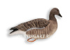 Гусь Гуменник Avian-Mix Elite 3D, комплект 6шт купить в интернет-магазине ХантингАрт