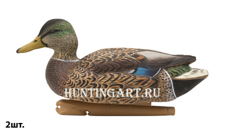 Комплект Avian-X Early Season Topflight Mallards (ранний сезон) из 6 чучел кряквы (4 селезня/2 утки) купить в магазине Хантингарт