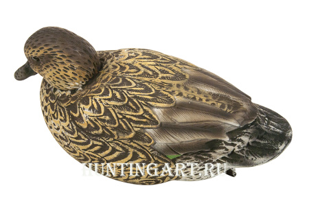 Чучело утки Чирка Eurasian Teal USA купить в магазине Хантингарт