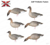 Комплект Avian-X из 6 полноразмерных чучел гуся гуменника - AXP Pinfoots Fusion купить в интернет-магазине ХантингАрт