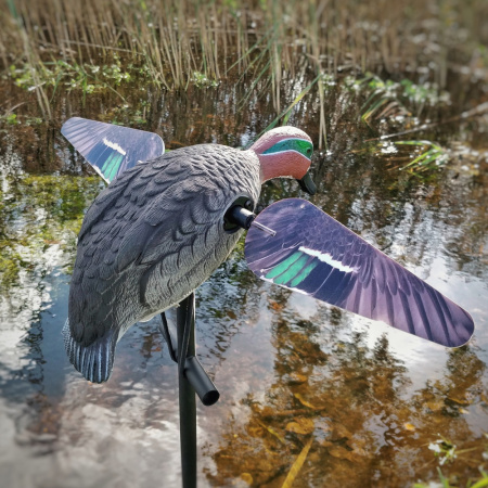 Чучело чирка с вращающимися крыльями Lucky Teal HD купить в интерент-магазине Хантингарт