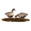 Набор из 10 шт сминаемых чучел Белолобого гуся Softplast™ North Way купить в интернет-магазине ХантингАрт
