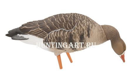 Комплект Avian-X из 6 полноразмерных чучел белолобого гуся с сумкой купить в интернет-магазине ХантингАрт