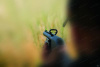 Мушка Hiviz оптоволоконная TriViz Combo Sight купить в интернет-магазине ХантингАрт