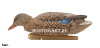 Комплект Avian-X Early Season Topflight Mallards (ранний сезон) из 6 чучел кряквы (4 селезня/2 утки) купить в магазине Хантингарт