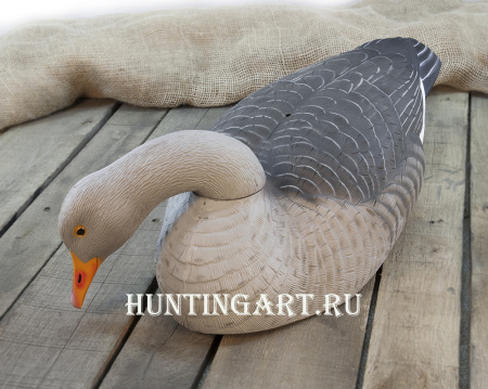 Картинка Комплект из 12 полукорпусных муляжей Серого гуся GreenHead от интернет-магазина ХантингАрт Комплект из 12 полукорпусных муляжей Серого гуся GreenHead купить в интернет-магазине ХантингАрт