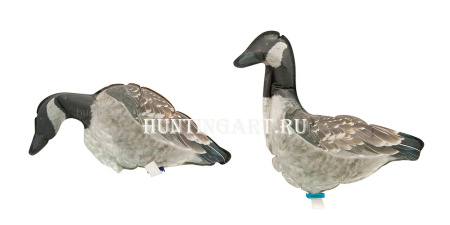 Надувное фотореалистичное чучело Канадской казарки (кормящийся / сторожевой) купить в интернет-магазине ХантингАрт