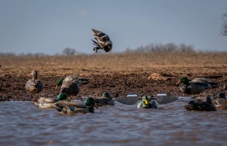 Чучело кряквы Lucky Duck с вращающимися крыльями Lucky HD Floater (селезень) купить в интерент-магазине Хантингарт