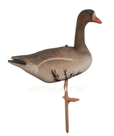 Комплект Birdland из 6 шт складных Белолобых чучел на опоре-стойке купить в интернет-магазине ХантингАрт