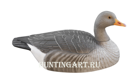 Картинка Комплект из 12 полукорпусных муляжей Серого гуся GreenHead от интернет-магазина ХантингАрт Комплект из 12 полукорпусных муляжей Серого гуся GreenHead купить в интернет-магазине ХантингАрт