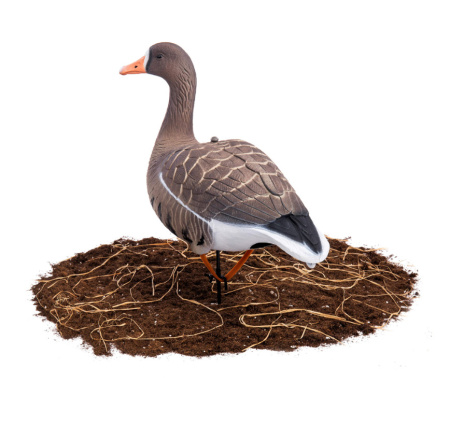 Комплект сминаемых чучел Белолобого гуся North Way Softplast 3D (10 шт) купить в интернет-магазине ХантингАрт