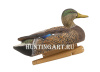 Комплект Avian-X Early Season Topflight Mallards (ранний сезон) из 6 чучел кряквы (4 селезня/2 утки) купить в магазине Хантингарт