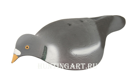 Чучела (скорлупки) лесного голубя купить в интернет-магазине ХантингАрт