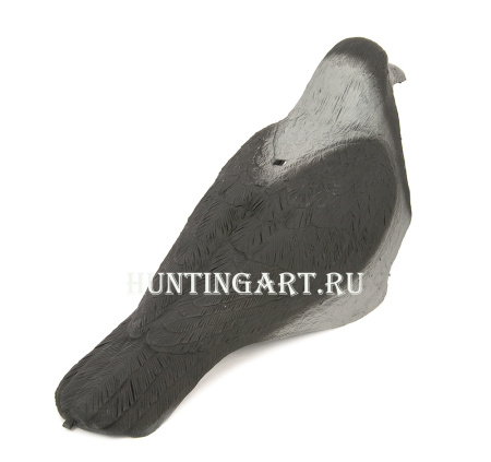 Чучело вороны (скорлупка) купить в интернет-магазине ХантингАрт