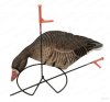 Комплект Greenhead Gear Pro-Grade FFD из 6 полнокорпусных муляжей Белолобого гуся (флок) купить в интернет-магазине ХантингАрт