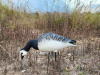 Казарка гусь Elite 3D Barnacles Goose, комплект 10 шт (8+2) мягкий пластик купить в интернет-магазине ХантингАрт