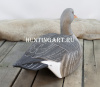 Картинка Комплект из 12 полукорпусных муляжей Серого гуся GreenHead от интернет-магазина ХантингАрт Комплект из 12 полукорпусных муляжей Серого гуся GreenHead купить в интернет-магазине ХантингАрт
