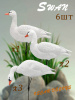 Чучела Лебедь, сминаемые полевые 6шт купить в интернет-магазине ХантингАрт