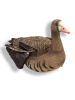 Белолобый гусь махокрыл, съемная голова купить в интернет-магазине ХантингАрт