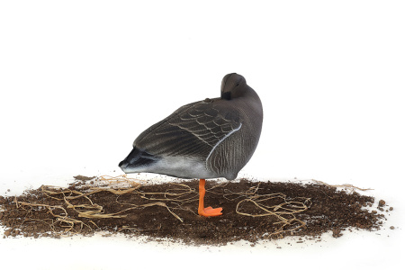 Комплект из 10 сминаемых чучел гуся Гуменника North Way Антиблик (6-корящихся, 2-сторожевых, 1-активный, 1-спящий) купить в интернет-магазине ХантингАрт