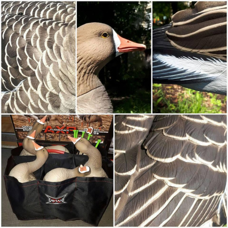 Комплект Avian-X из 6 полноразмерных чучел белолобого гуся с сумкой купить в интернет-магазине ХантингАрт